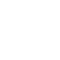 Carousel Flowers Logo