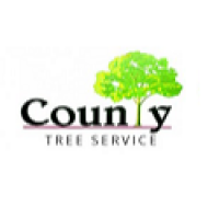 City & County Tree Services Logo