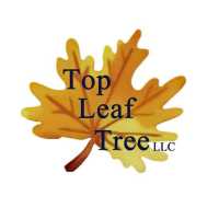 Top Leaf Tree LLC Logo