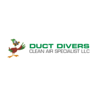 Duct Divers Clean Air Specialist LLC Logo