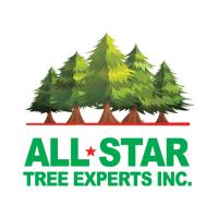 All Star Tree Experts Inc. Logo