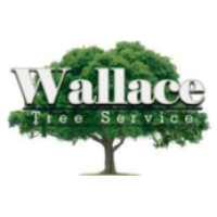 Wallace Tree Service Experts Logo
