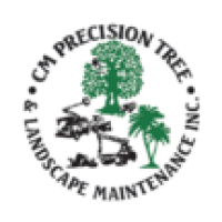 CM Precision Logo