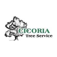 Cicoria Tree and Crane Service Gloucester Logo