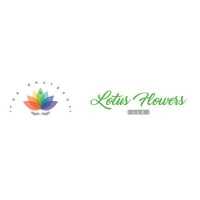 The Grateful Lotus Flowers Logo
