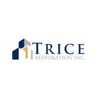 Trice Building Restoration NYC Logo