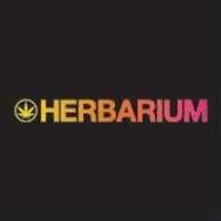 Herbarium Weed Dispensary Needles Marijuana Logo