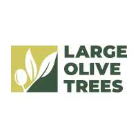 Large Olive Trees Logo