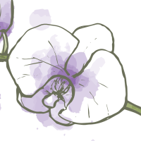 Serene Orchid Wellness Spa Logo