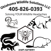 Oklahoma Wildlife Solutions LLC Logo
