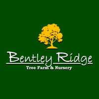 Bentley Ridge Tree Farm Logo