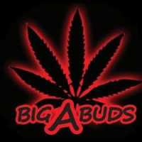Big A Buds Tuttle Logo