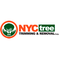 NYC Tree Trimming & Removal Logo