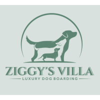 Ziggy's Dog Villa Logo