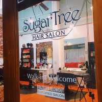 Sugar Tree Hair Salon Logo