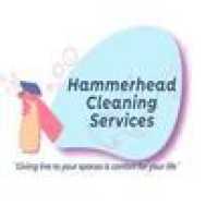 Hammerhead Cleaning Services Logo