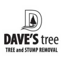 Dave's Tree Logo
