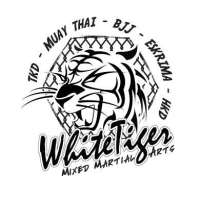White Tiger Martial Arts Logo