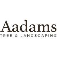 Aadams Tree Service - Tree Removal, Trimming, Stump Grinding in Woodinville WA Logo
