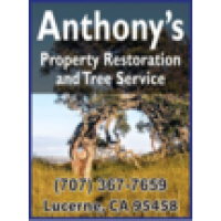 Anthony's Property Restoration and Tree service Logo