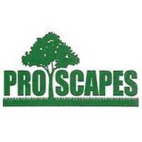 Pro Scapes LLC Logo
