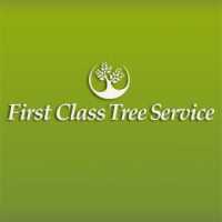 First Class Tree Service Logo