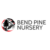 Bend Pine Nursery LLC Logo
