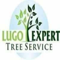Lugo's Expert Tree Service Logo