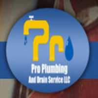 Pro Plumbing and Drain Service Logo