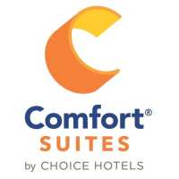 Comfort Suites Camp Hill-Harrisburg West Logo