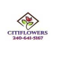 Citiflowers Logo