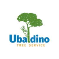 https://ubaldinotreeservicesandlandscaping.com/ Logo