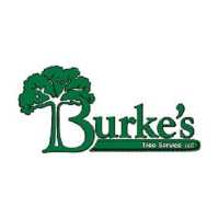 Burke's Tree Service Logo