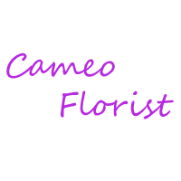 Cameo Florist Logo
