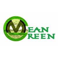 Mean Green Lawn & Tree Service Logo