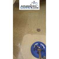 Advanced Carpet & Upholstery Care Logo
