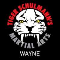 Tiger Schulmann's Martial Arts (Wayne, NJ) Logo