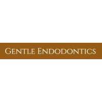 Gentle Endodontics: Nivine Y El-Refai, BDS, DDS, MSD Logo