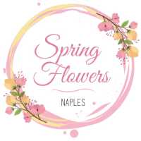 Spring flowers Naples Logo