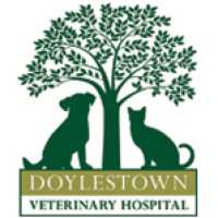 Doylestown Veterinary Hospital Logo