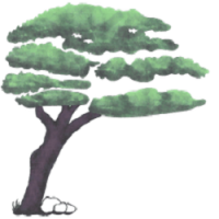 DeClue & Sons Tree Care, Inc. Logo