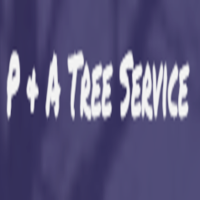 Stevie Tree LLC Logo