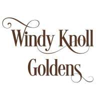 Windy Knoll Goldens Logo