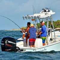 Tampa FL Fishing Charters Logo