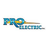 Pro-Electric Inc Logo
