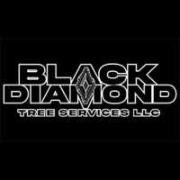 Black Diamond Tree Service Logo