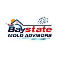Baystate Mold Advisors LLC Logo