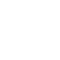 IView Inspections Logo