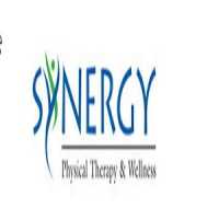 Synergy Physical Therapy and Wellness Logo