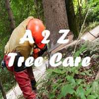 A to Z Tree Care Logo